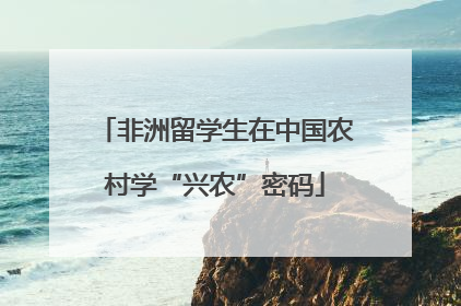 非洲留学生在中国农村学“兴农”密码